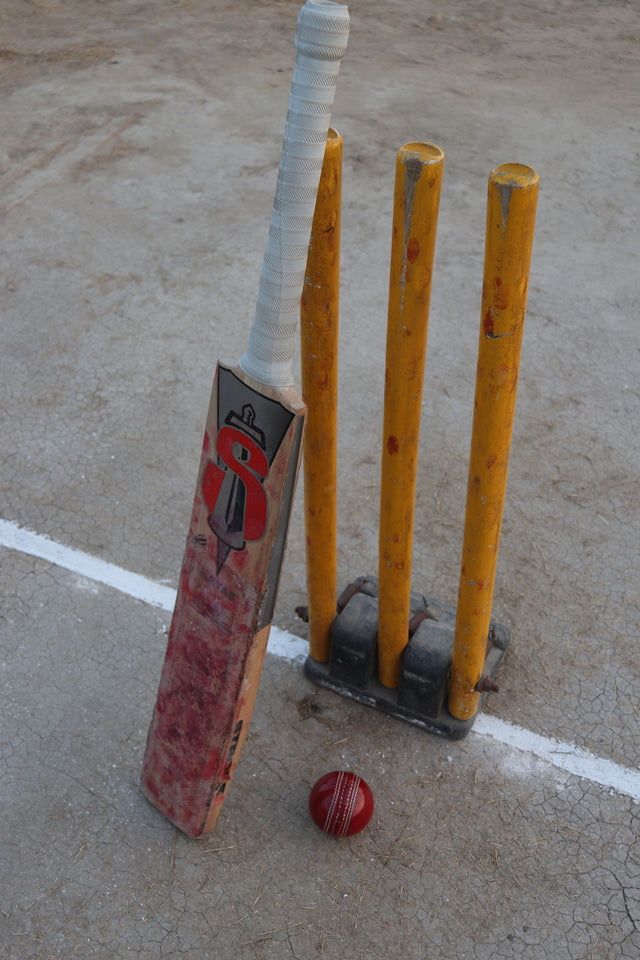 English willow cricket bat with a leather ball